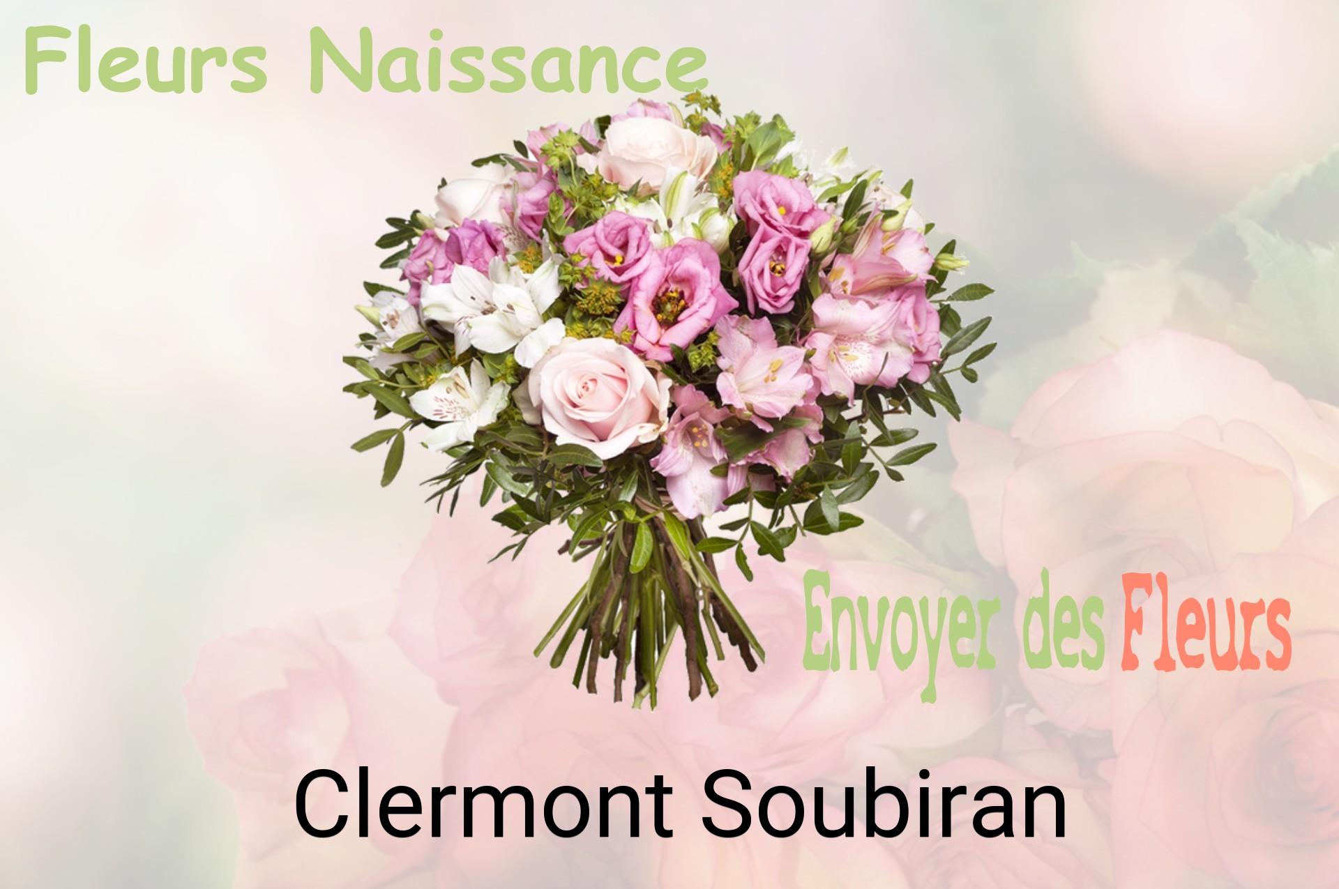 Bouquet de fleurs de naissance livré à Clermont-Soubiran